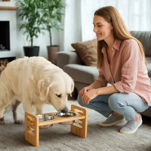 chien mangeant dans gamelle surelevee