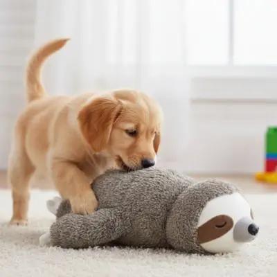 chien mordillant peluche pour chien