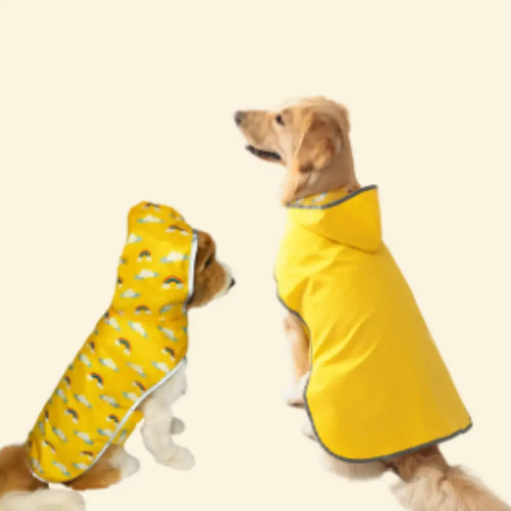 chien portant manteau pour chien jaune