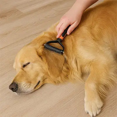 chien se faisant brosser son poil