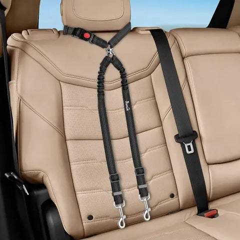 double laisse pour chien dans voiture