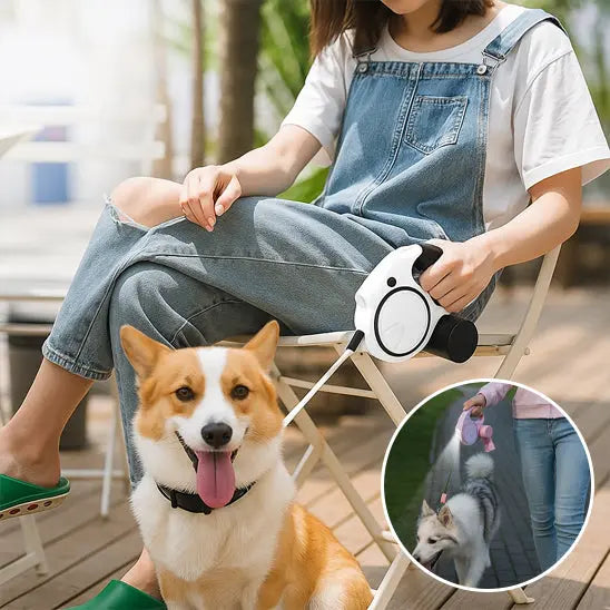 femmeassise  avec chien tenu en laisse pour chien