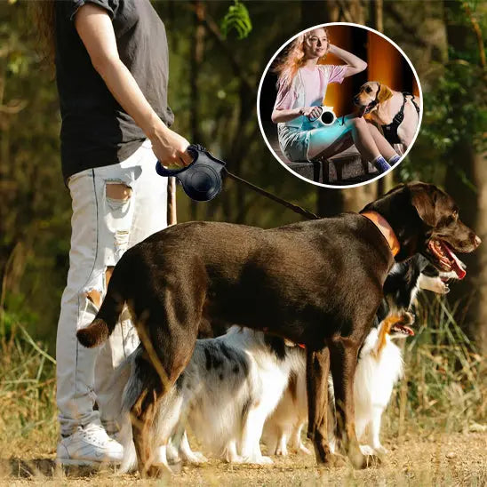 homme promenant chien avec laisse pour chien dans parc