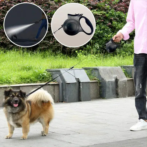 homme tirant chien avec laisse pour chien dans parc