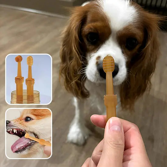 kit brosse a dent chien avec chien