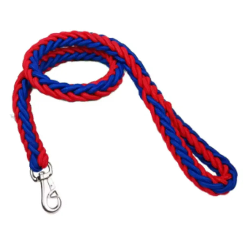 laisse pour chien bleu rouge