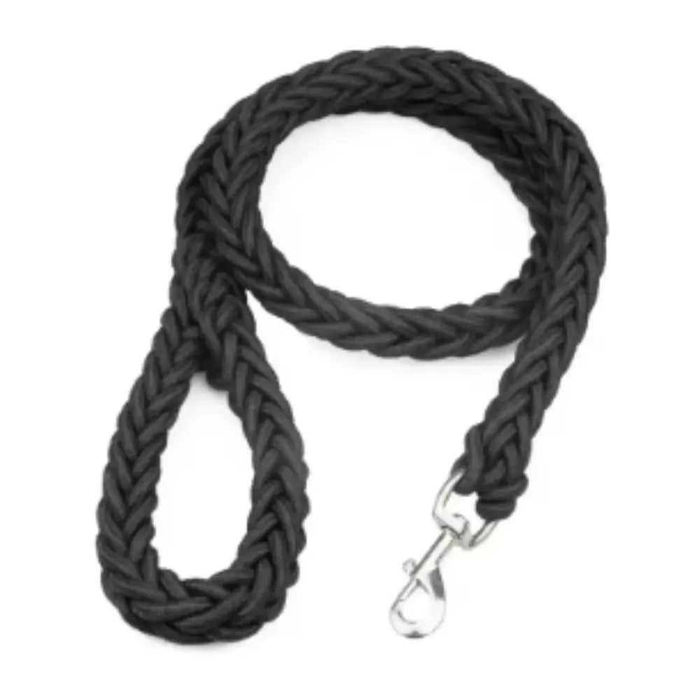 laisse pour chien noire