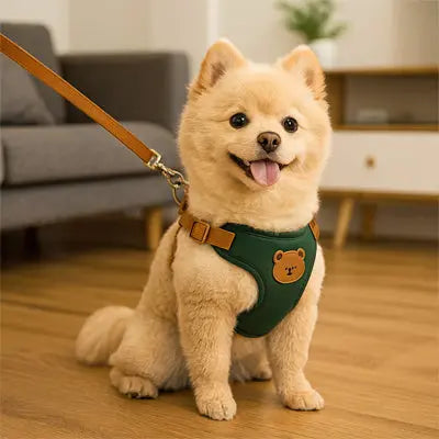 petit chien avec harnais petit chien vert fonce