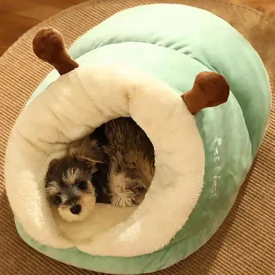 photo petit chien dans lit pour chien vert