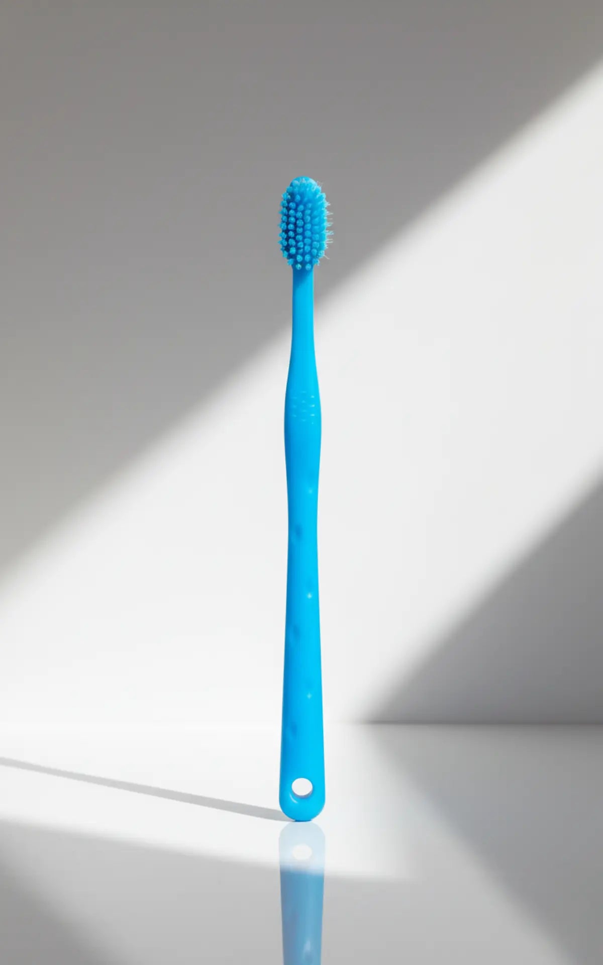 photo professionnelle brosse a dent chien bleu