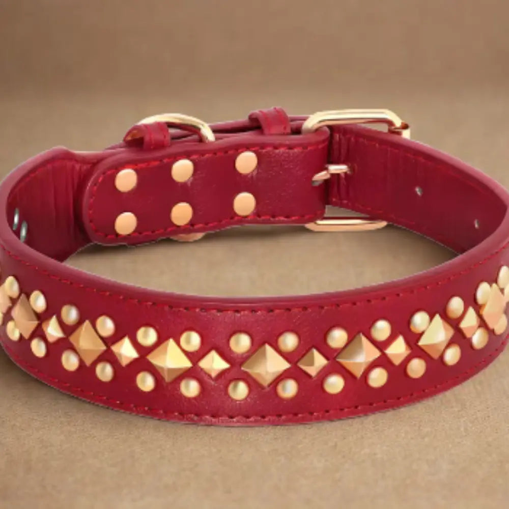 photo professionnelle collier chien rouge bordeaux cuir cloute