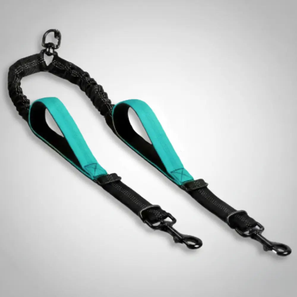 photo professionnelle double laisse pour chien bleu clair