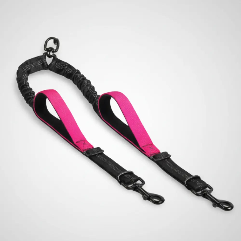 photo professionnelle double laisse pour chien rose