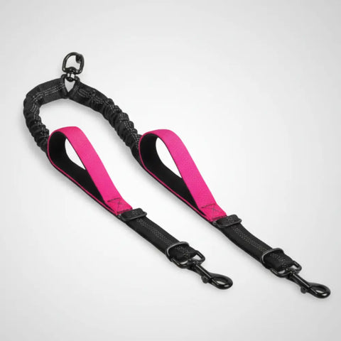 photo professionnelle double laisse pour chien rose