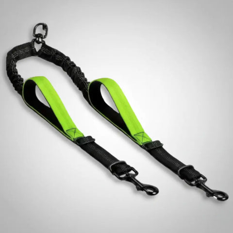 photo professionnelle double laisse pour chien vert clair