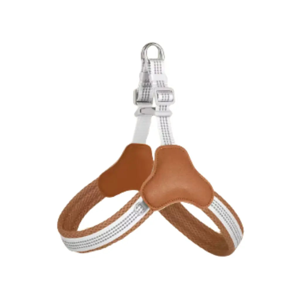 photo professionnelle harnais chien marron