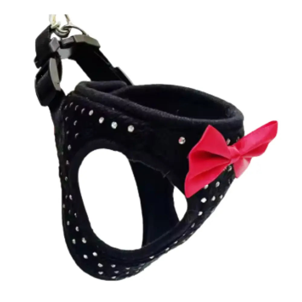 photo professionnelle harnais chien noir avec noeud papillon