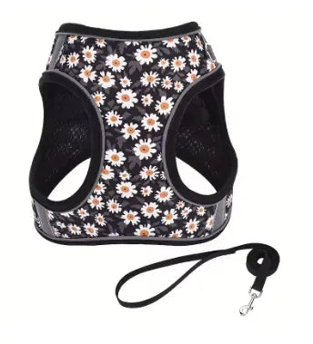 photo professionnelle harnais chien noir floral
