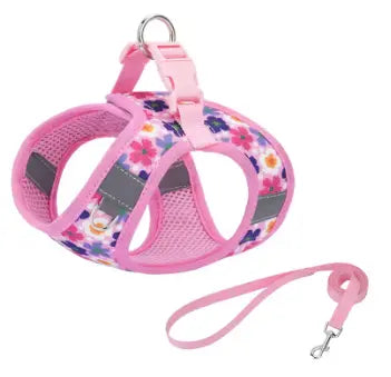 photo professionnelle harnais chien rose floral