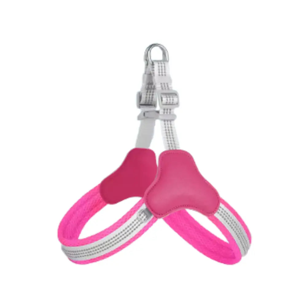 photo professionnelle harnais chien rose