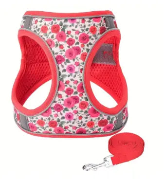 photo professionnelle harnais chien rouge floral
