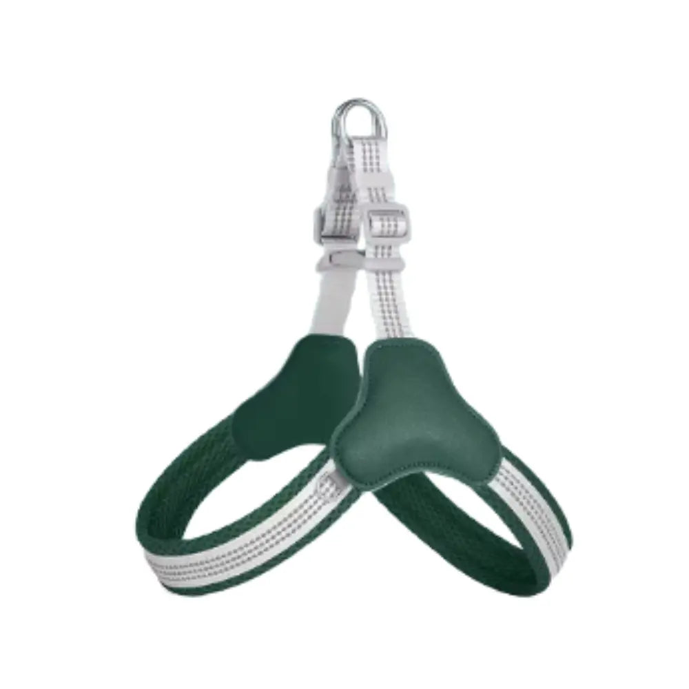 photo professionnelle harnais chien vert fonce