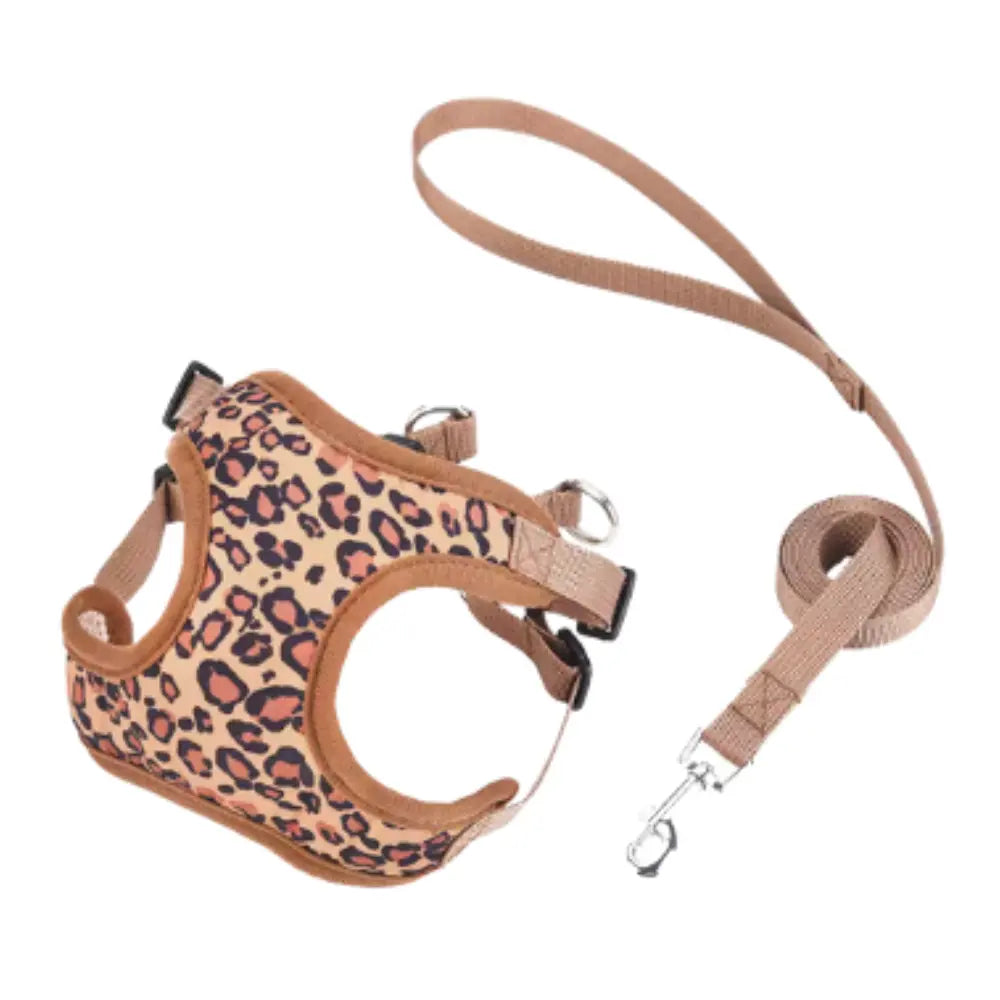 photo professionnelle harnais petit chien marron