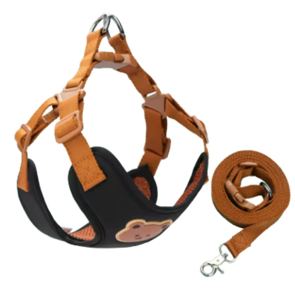 photo professionnelle harnais petit chien noir