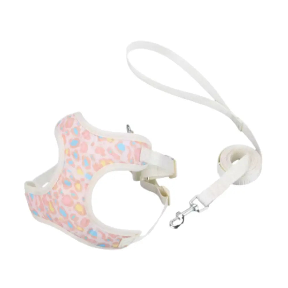photo professionnelle harnais petit chien rose clair