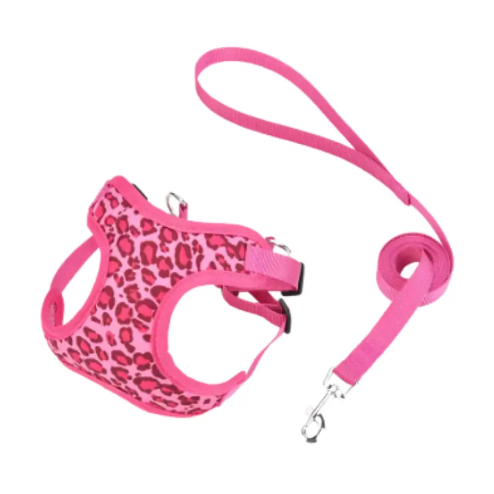 photo professionnelle harnais petit chien rose fonce