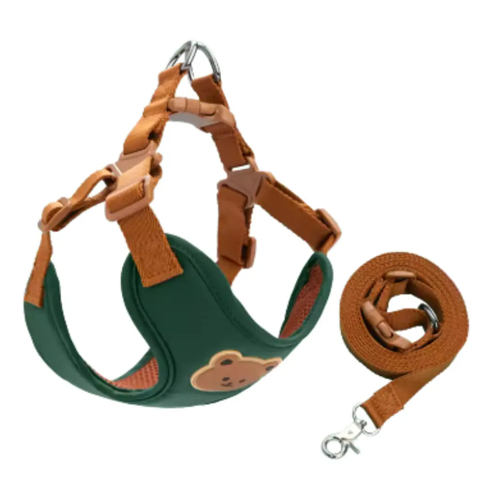 photo professionnelle harnais petit chien vert fonce