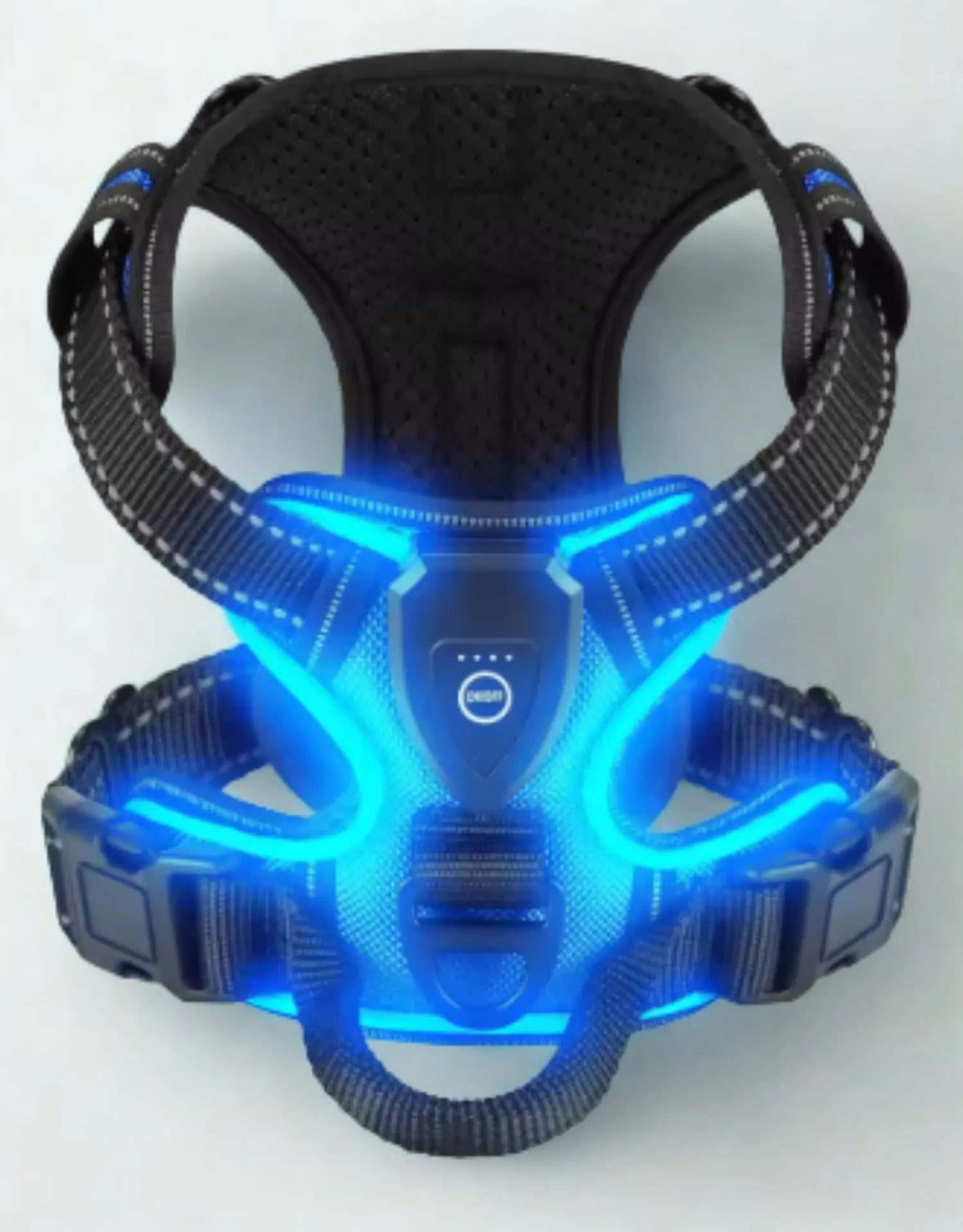 photo professionnelle harnais pour chien led bleu