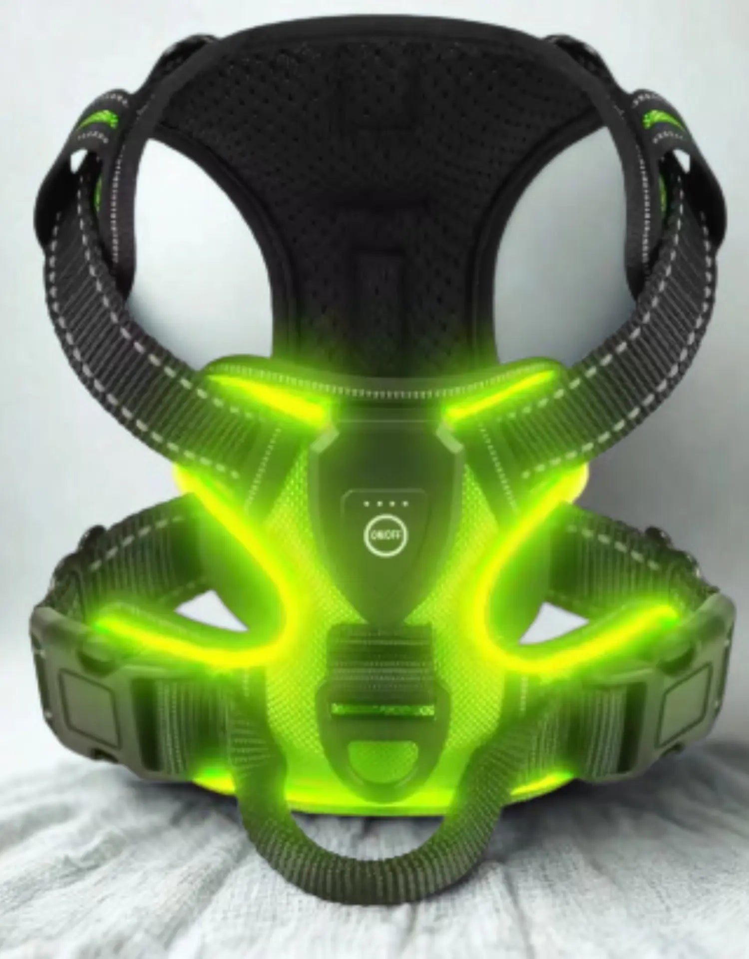 photo professionnelle harnais pour chien led vert