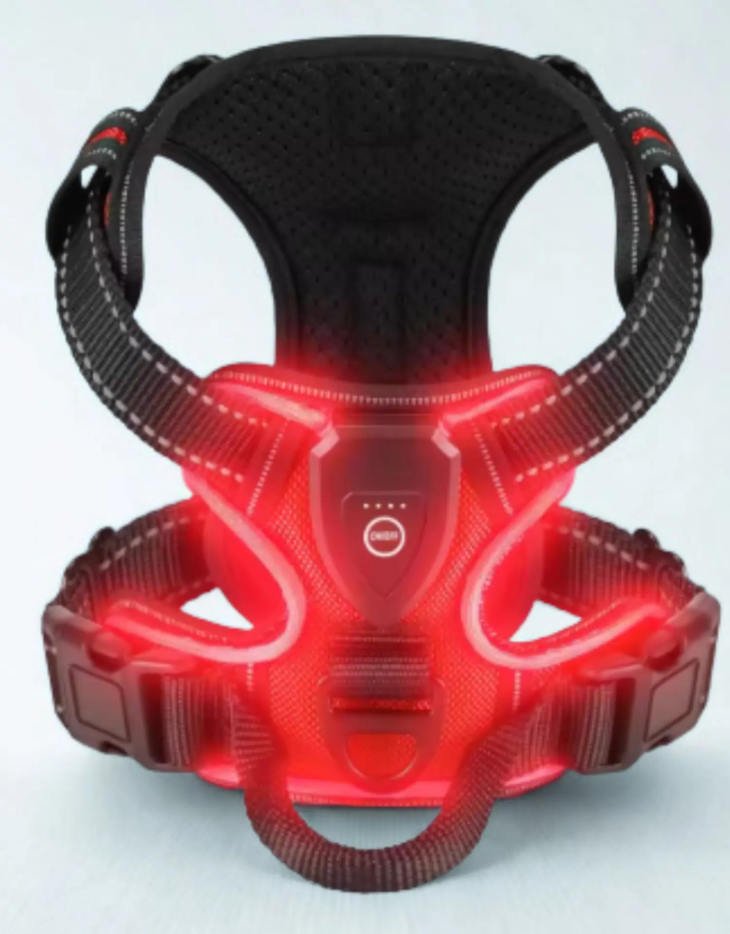 photo professionnelle harnais pour chien led rouge