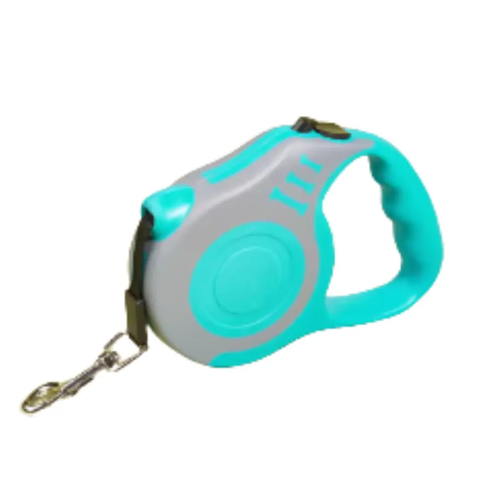 photo professionnelle laisse pour chien bleu turquoise