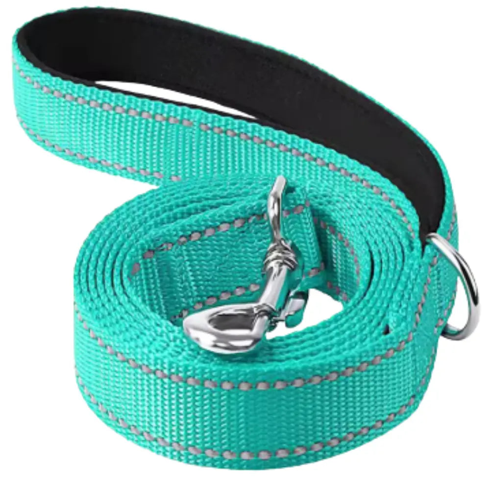 photo professionnelle laisse pour chien bleue turquoise