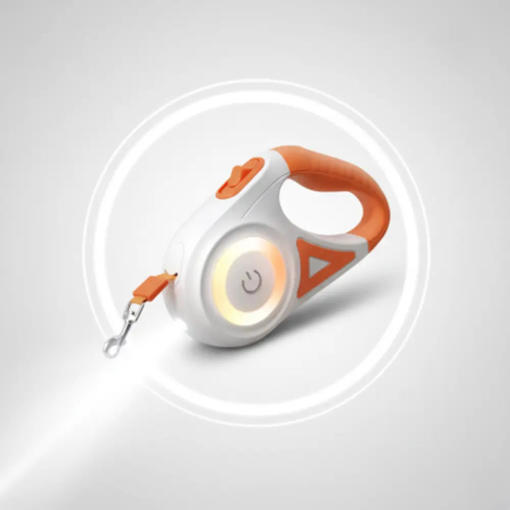 photo professionnelle laisse pour chien led orange