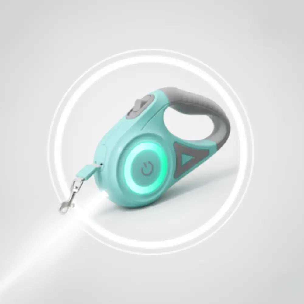 photo professionnelle laisse pour chien verte