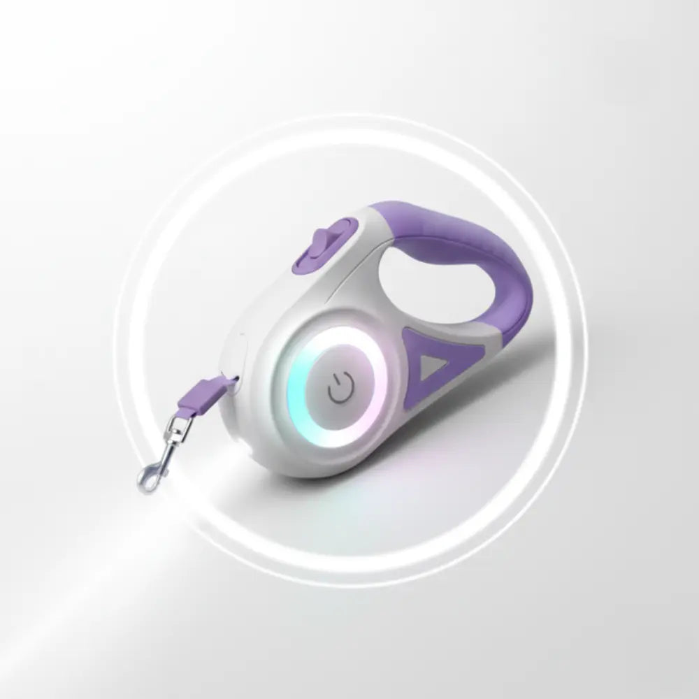 photo professionnelle laisse pour chien led violette
