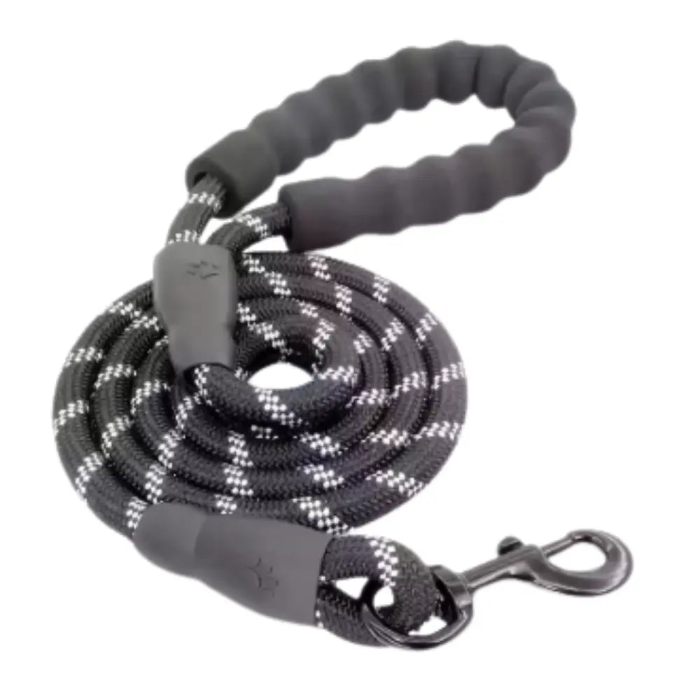 photo professionnelle laisse pour chien noire serpente