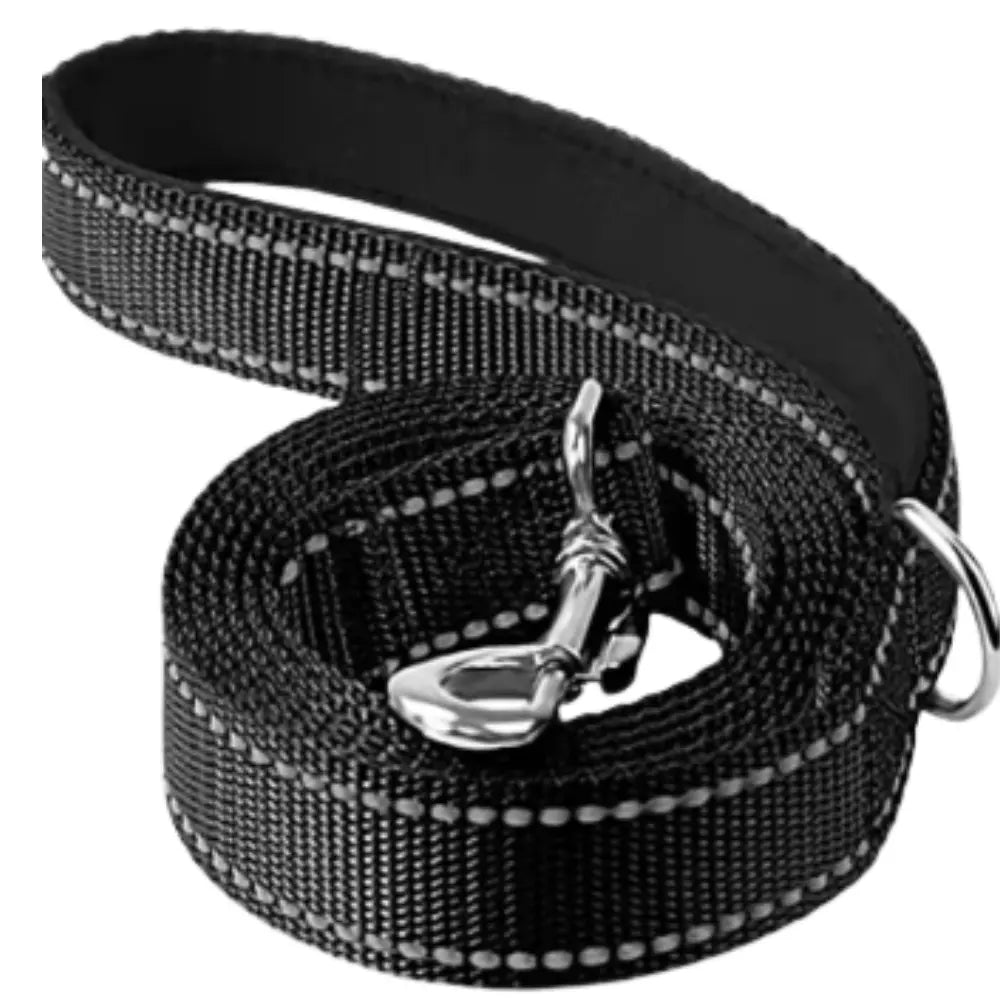 photo professionnelle laisse pour chien noire