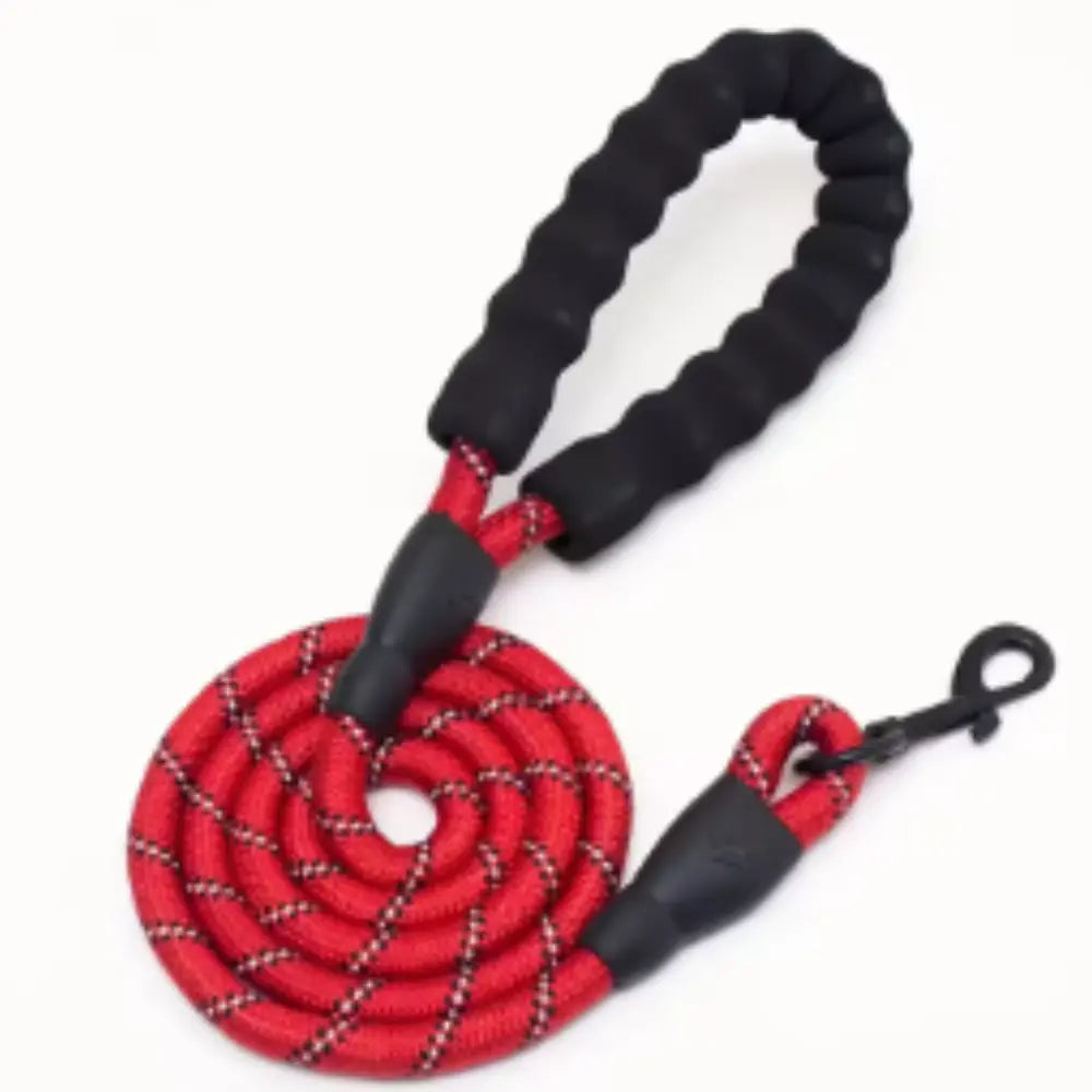 photo professionnelle laisse pour chien rouge serpente