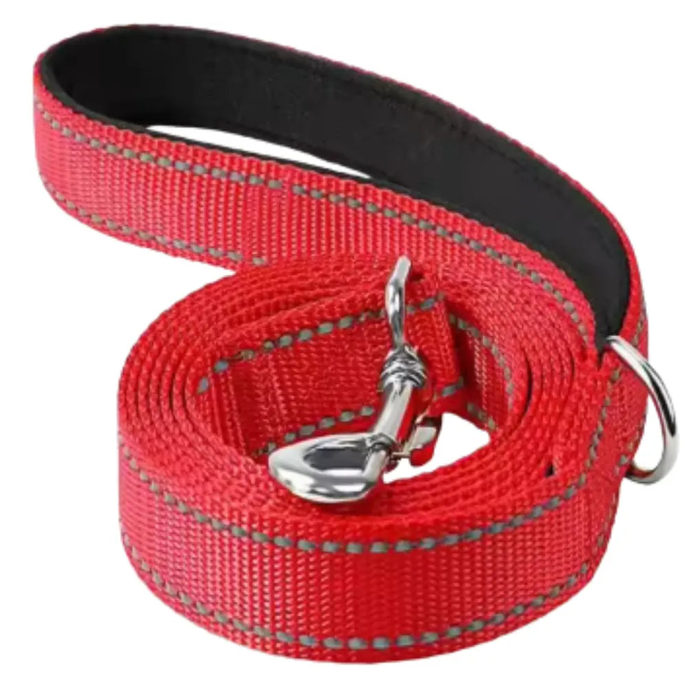 photo professionnelle laisse pour chien rouge