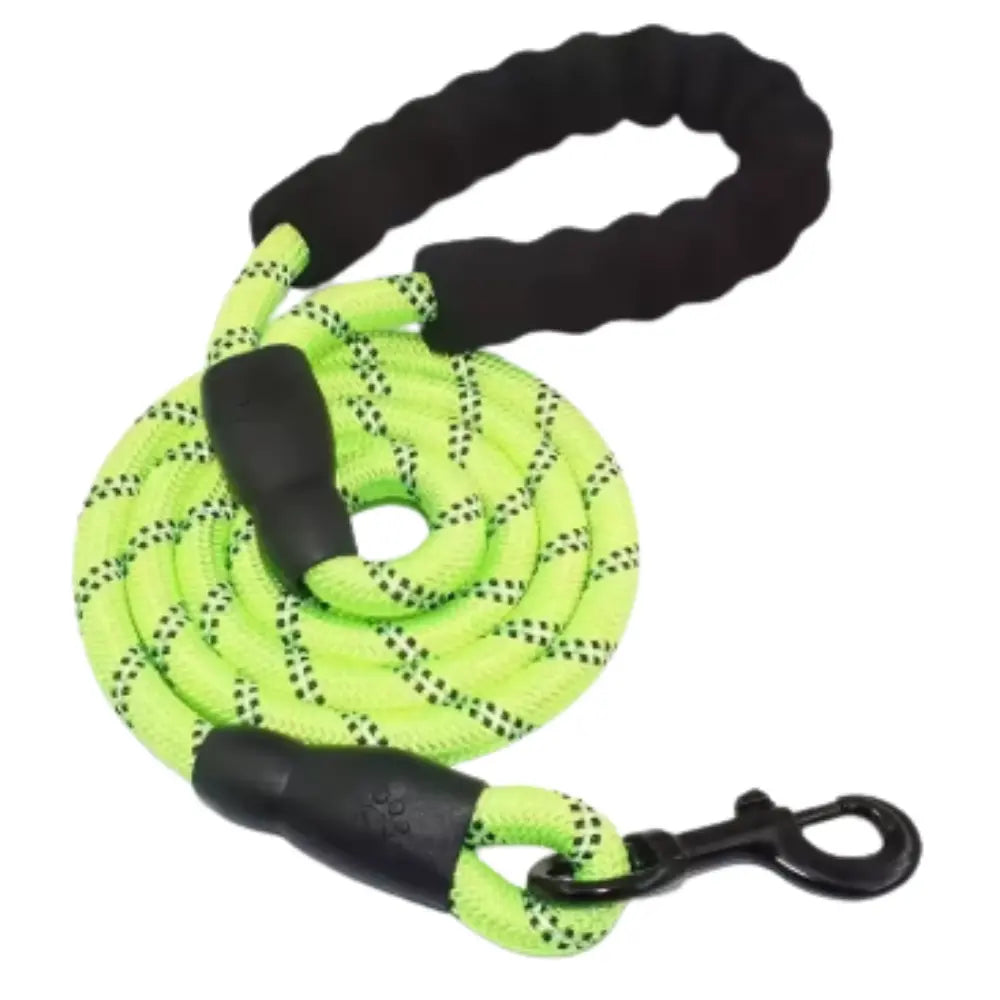 photo professionnelle laisse pour chien vert citron