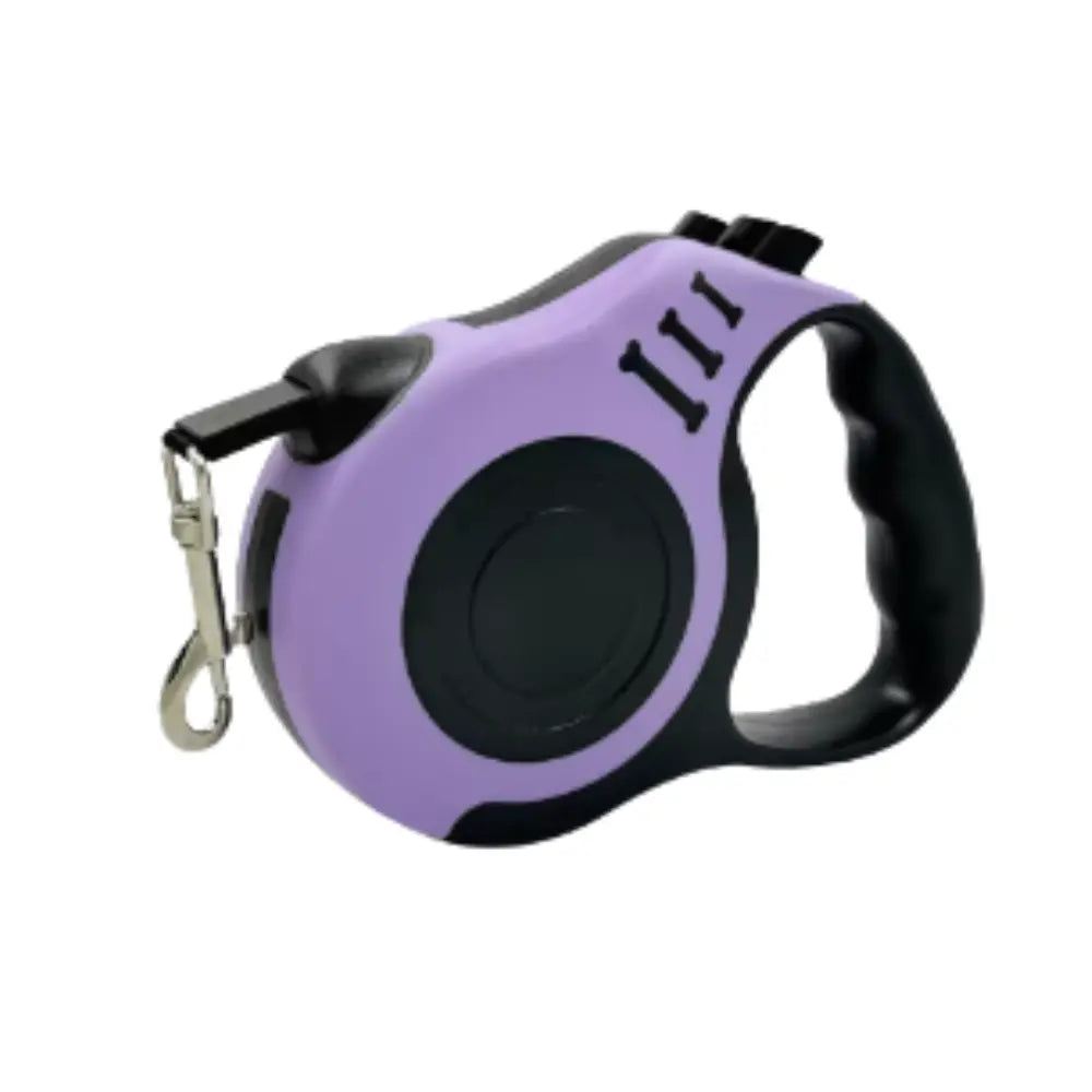 photo professionnelle laisse pour chien violet