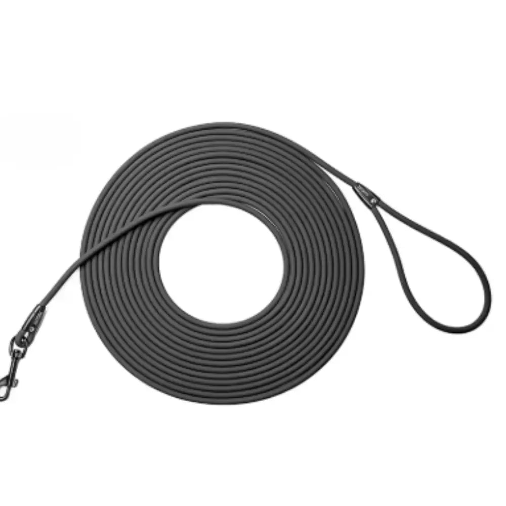 photo professionnelle longe pour chien noir