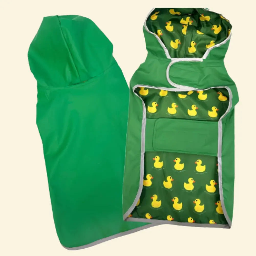 photo professionnelle manteau pour chien vert