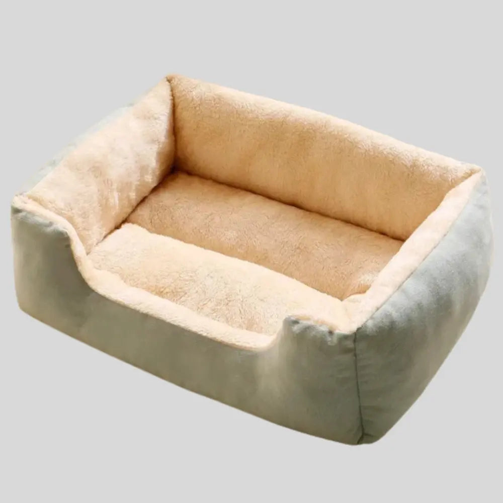 photo professionnelle panier pour chien bleu pastel