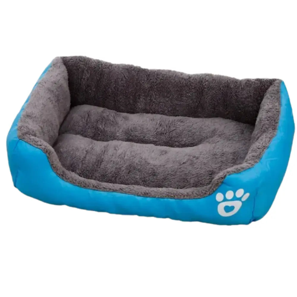 photo professionnelle panier pour chien bleu vif