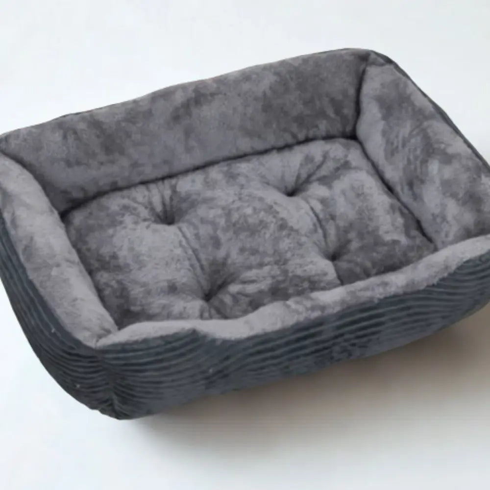 photo professionnelle panier pour chien gris